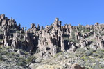 photo thumbnail #5