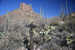 photo thumbnail #4