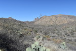 photo thumbnail #8