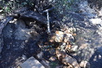 photo thumbnail #10