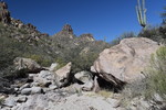 photo thumbnail #11