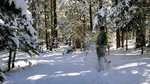 photo thumbnail #2