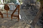 photo thumbnail #5