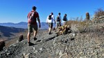 photo thumbnail #6