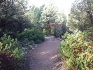 photo thumbnail #7