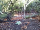 photo thumbnail #8
