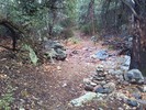 photo thumbnail #9