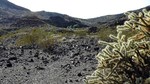 photo thumbnail #3
