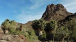 2016-12-13 :2: Mopah Spring :: azbackpackr
