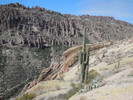 photo thumbnail #13