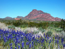 photo thumbnail #4