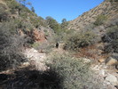 photo thumbnail #8