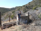 photo thumbnail #12