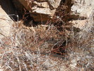 photo thumbnail #13