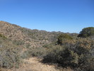 photo thumbnail #14