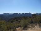 photo thumbnail #15