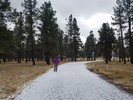 photo thumbnail #4