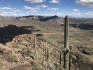 photo thumbnail #7