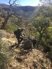 photo thumbnail #9