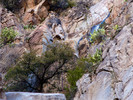 photo thumbnail #13