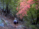 photo thumbnail #5