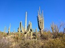 photo thumbnail #1