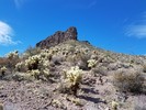 photo thumbnail #6