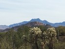 photo thumbnail #2