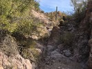 photo thumbnail #9