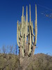 photo thumbnail #3
