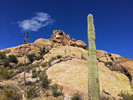 photo thumbnail #6