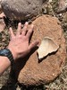 photo thumbnail #3