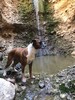 photo thumbnail #5