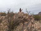 photo thumbnail #4