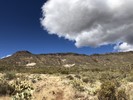 photo thumbnail #15