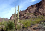 photo thumbnail #3