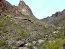 photo thumbnail #5
