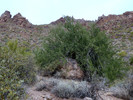 photo thumbnail #8