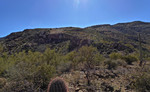 photo thumbnail #5