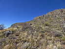 2018-03-03 :1: Tam O