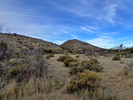 photo thumbnail #1