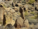 photo thumbnail #6