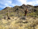 photo thumbnail #7
