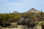 photo thumbnail #9