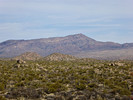 photo thumbnail #11