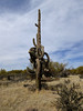 photo thumbnail #13
