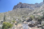 photo thumbnail #12