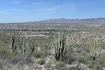 photo thumbnail #13
