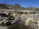 photo thumbnail #3
