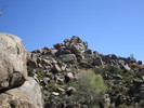 photo thumbnail #6